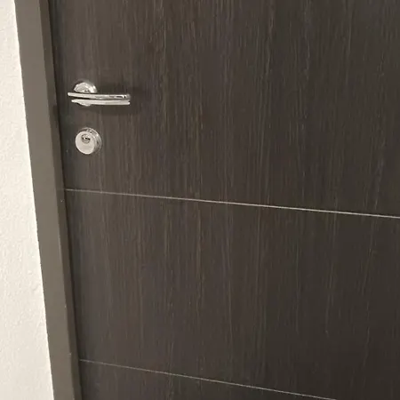 Danisar بييلينا